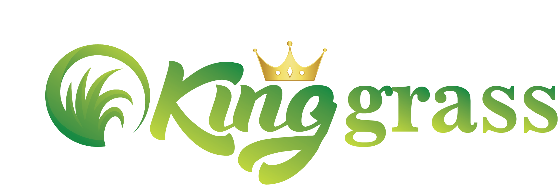 Kingro Logo